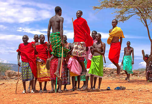 The Plains of Africa Kenya Wildlife Safari