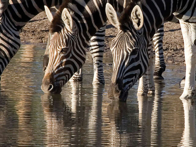 Highlights of South Africa, Zambia & Botswana