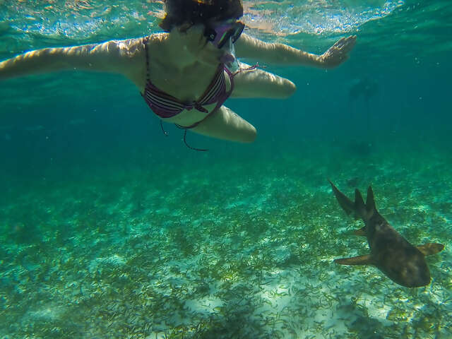 Canyon Country & Coasts – Las Vegas to San Francisco