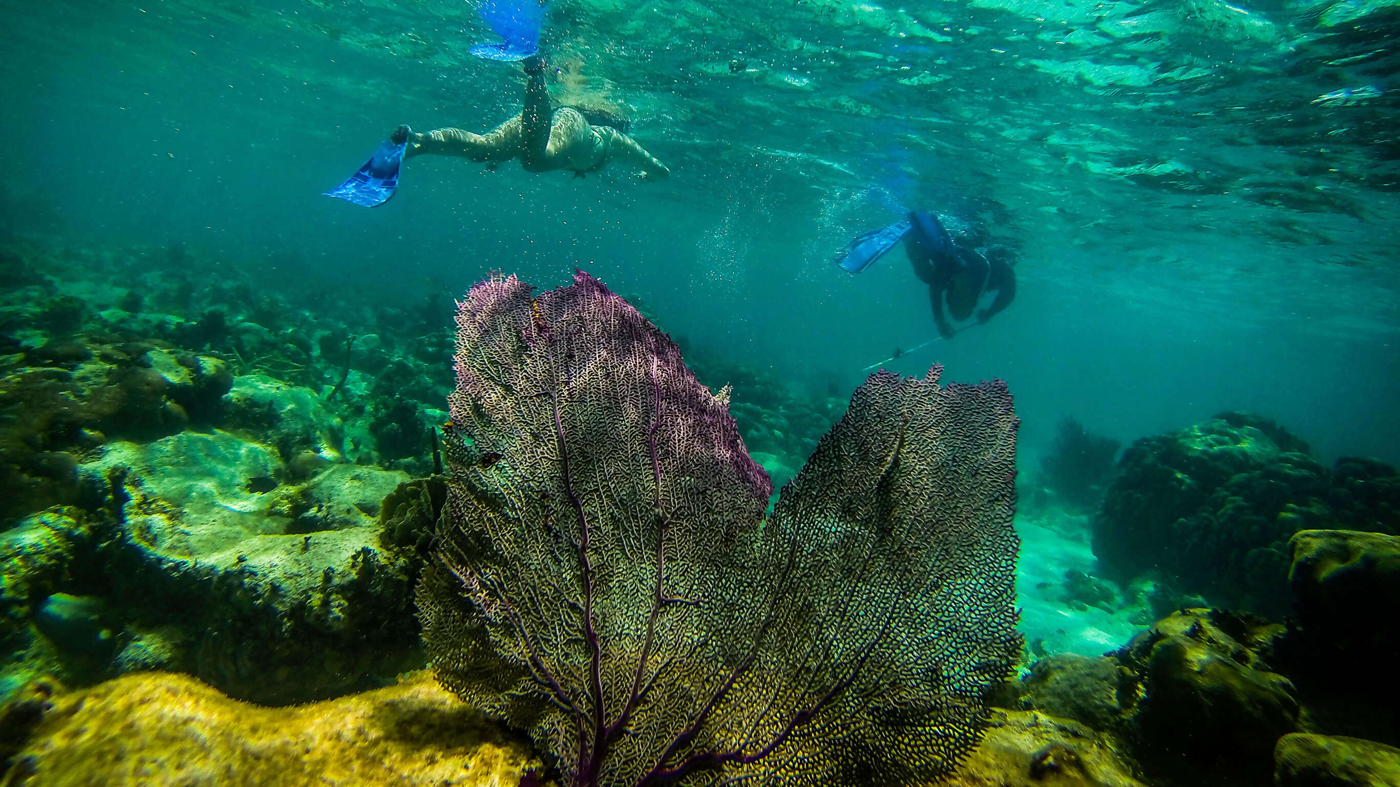 Explore Belize