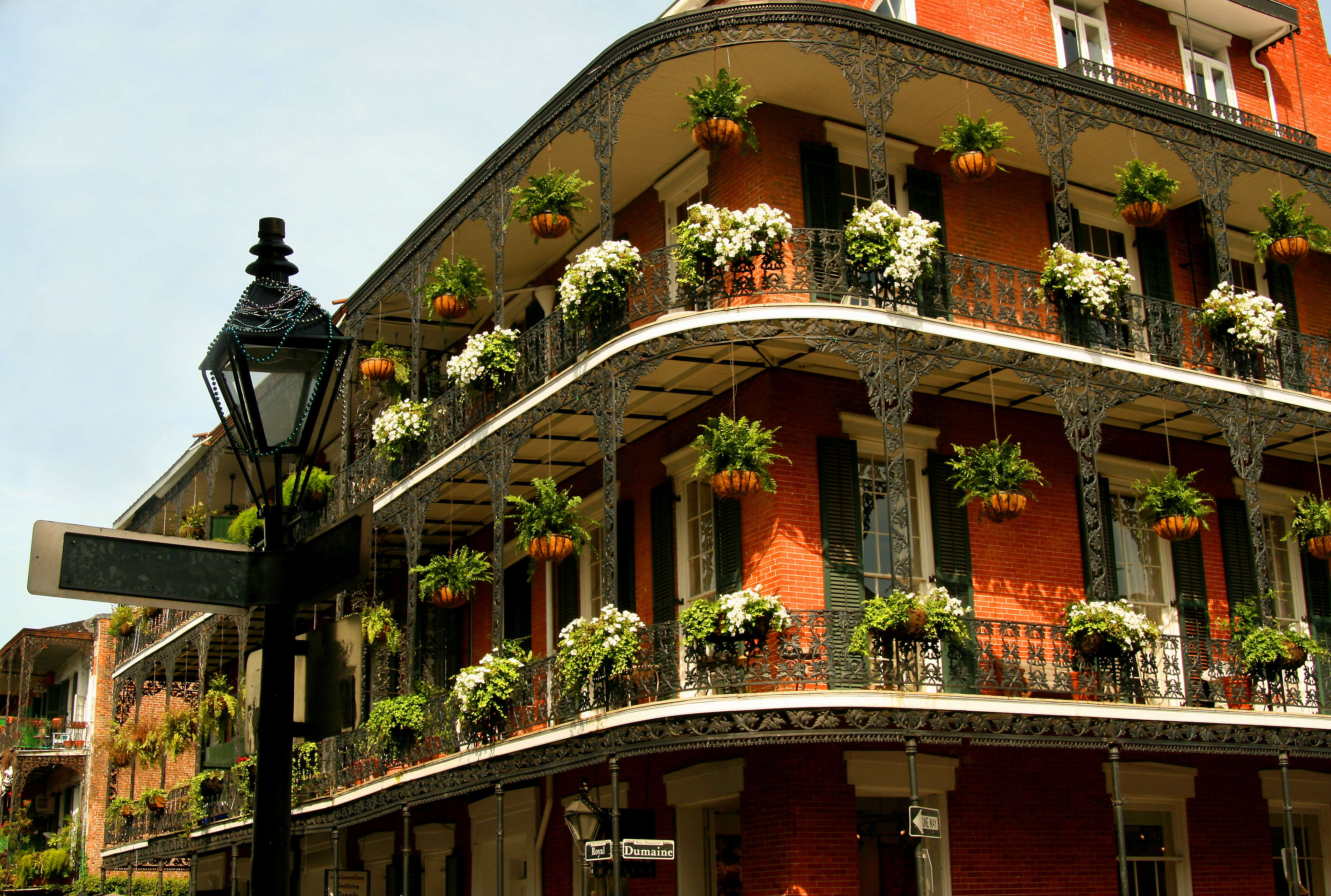 Spotlight on New Orleans