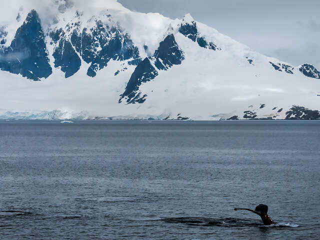 Journey to the Antarctic Peninsula