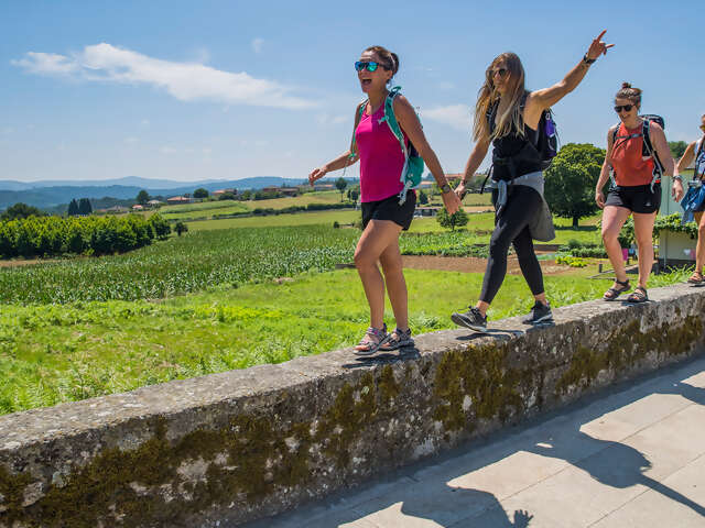 Walk the Camino de Santiago — Plus