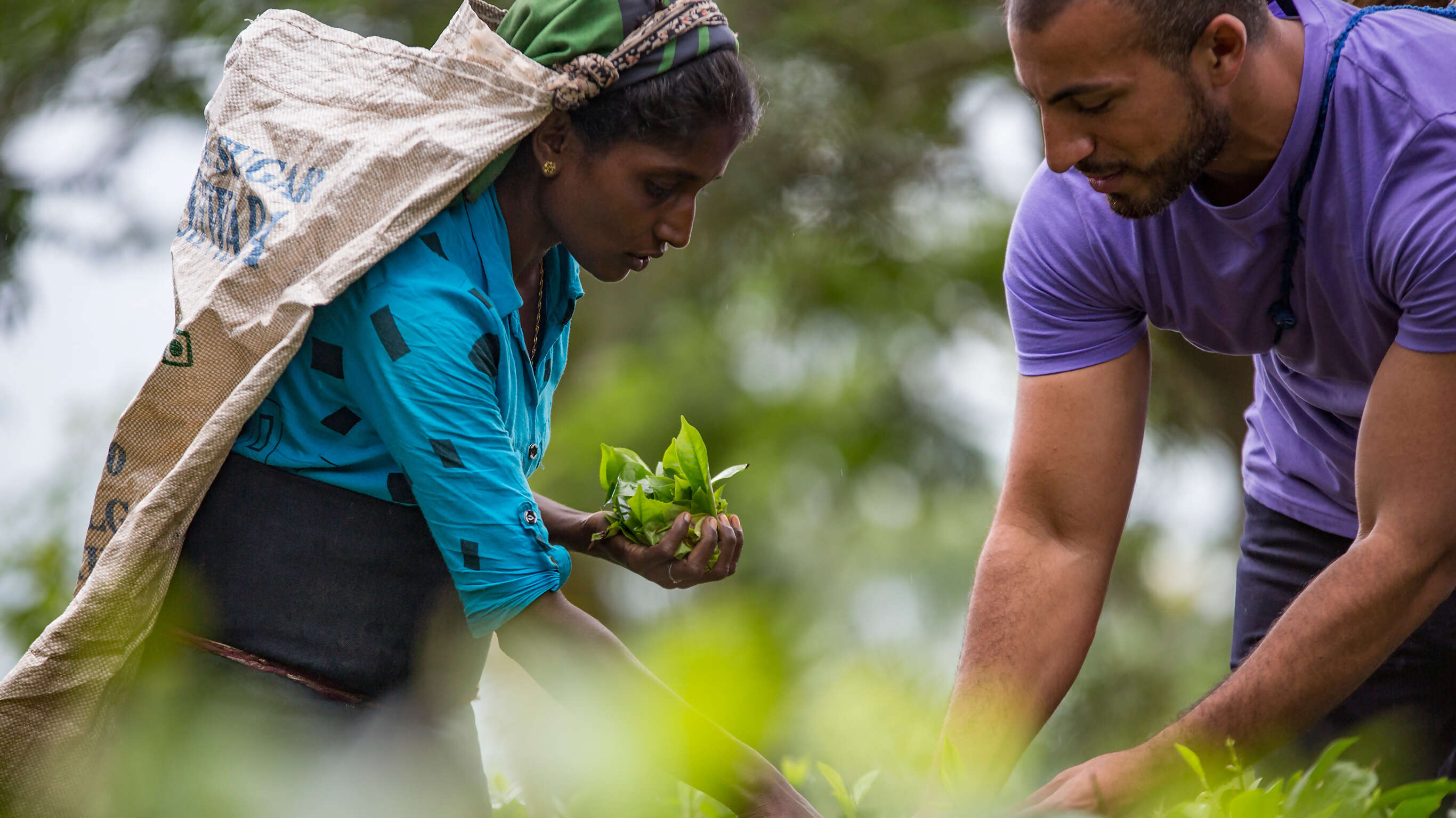 Croatia and the Balkans