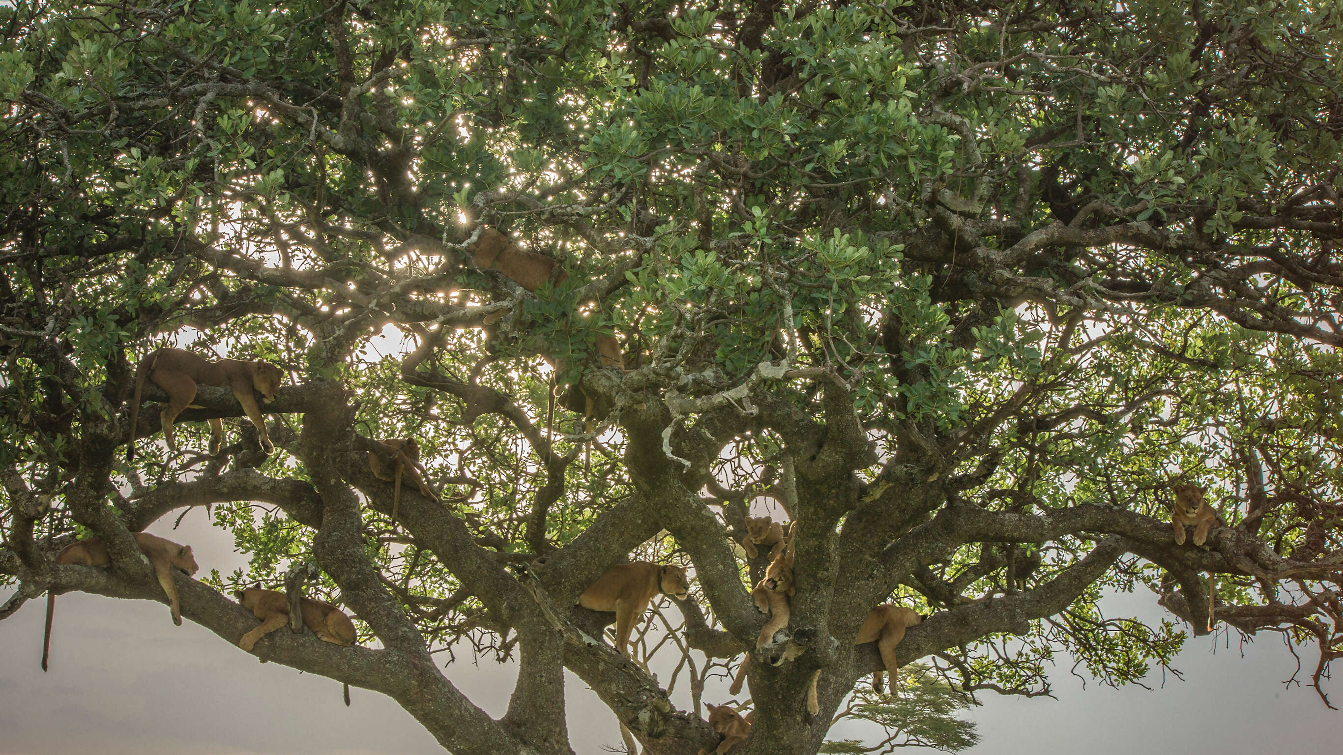 Nairobi to Joburg Overland: Craters & Camping