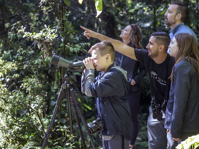 Costa Rica Family Journey: From Rainforest to Coast