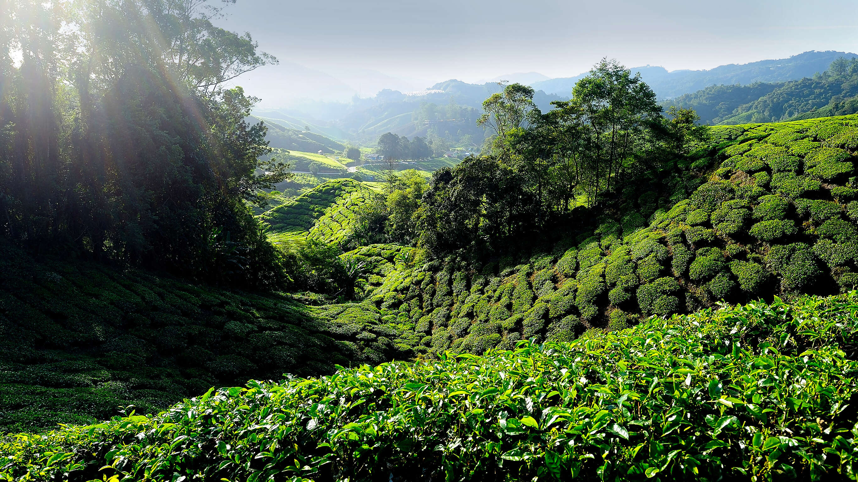 Kuala Lumpur to Bangkok Adventure