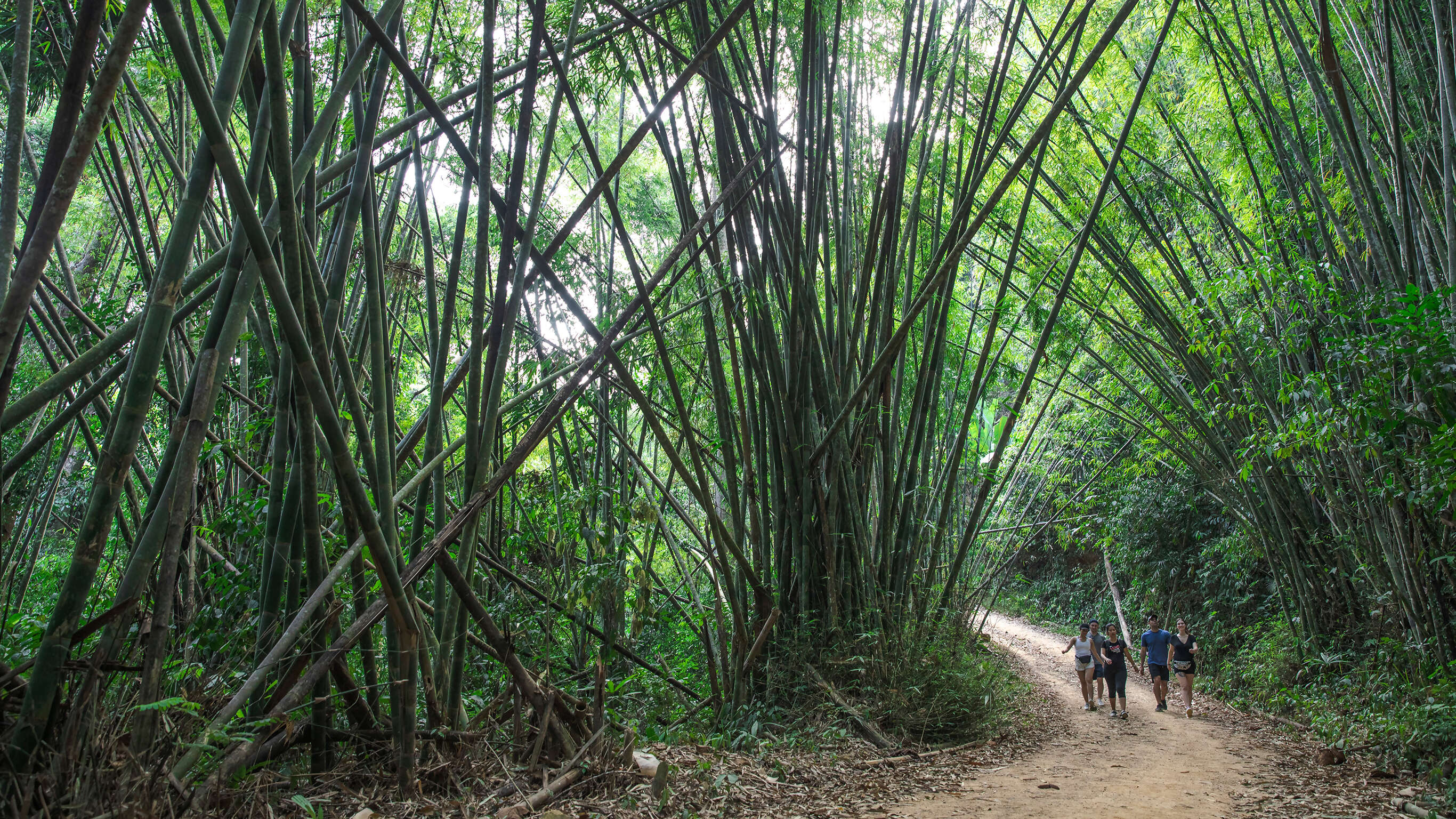 Laos to Northern Thailand: Treks & Trails