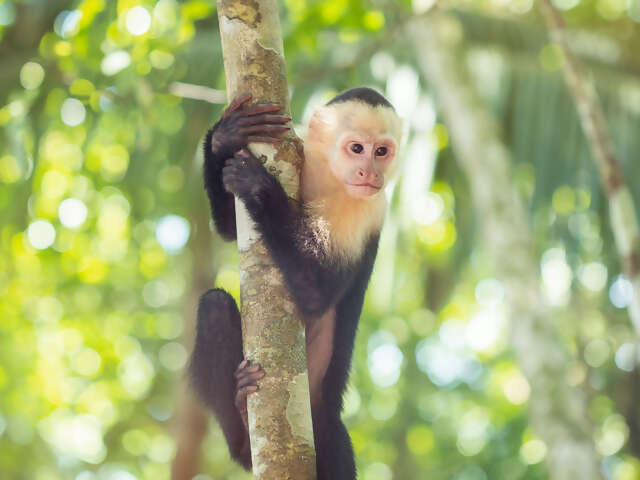 Costa Rica Family Experience