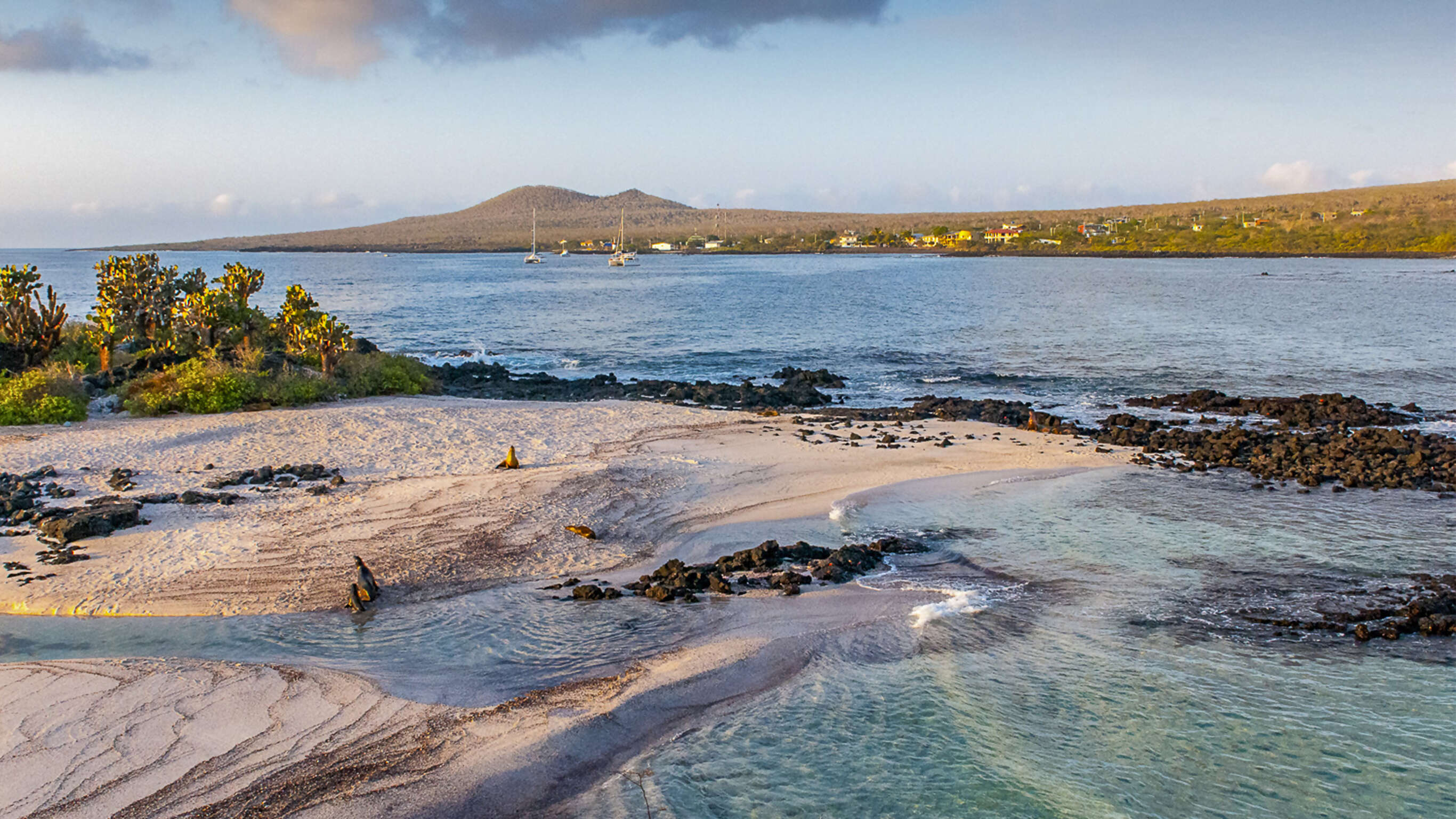 Galápagos — Central, East & South Islands aboard the Xavier III