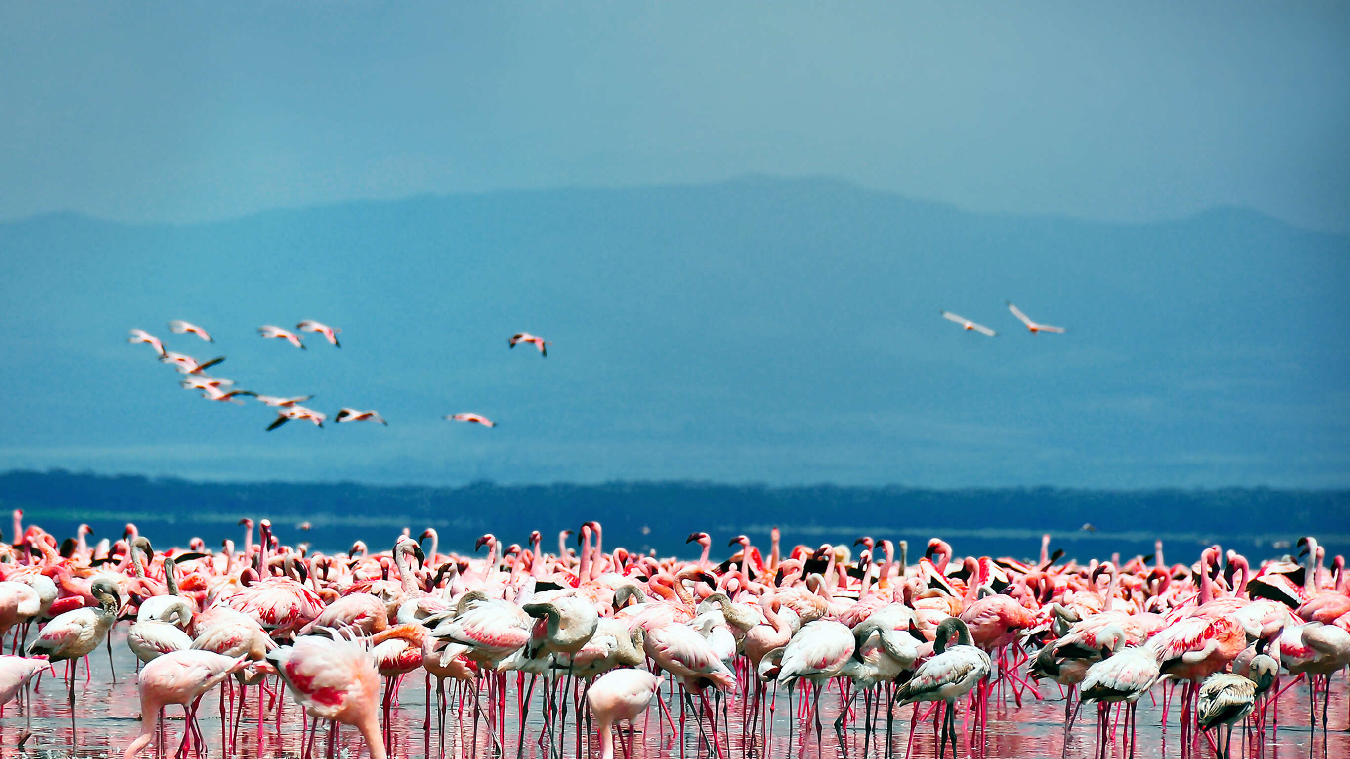 Kenya Overland Adventure