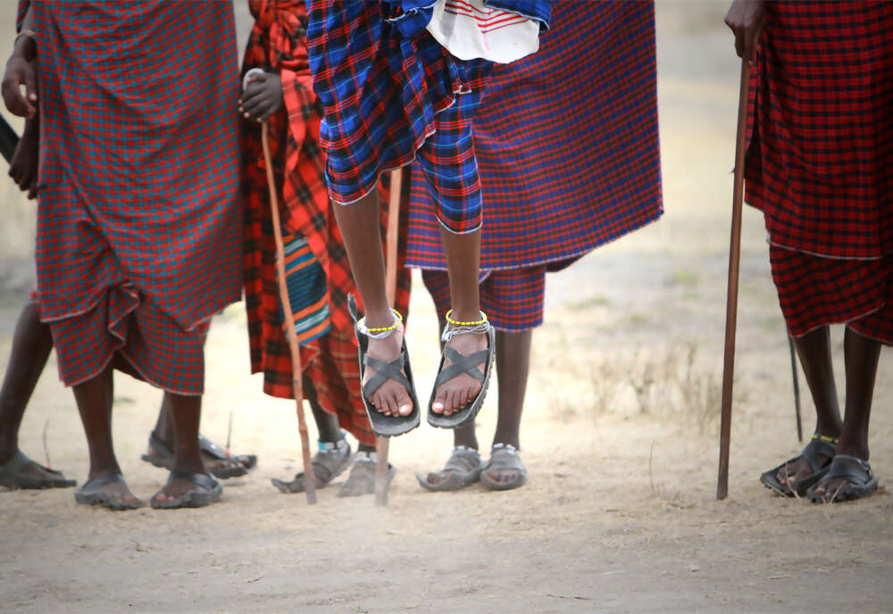 The Plains of Africa Kenya Wildlife Safari