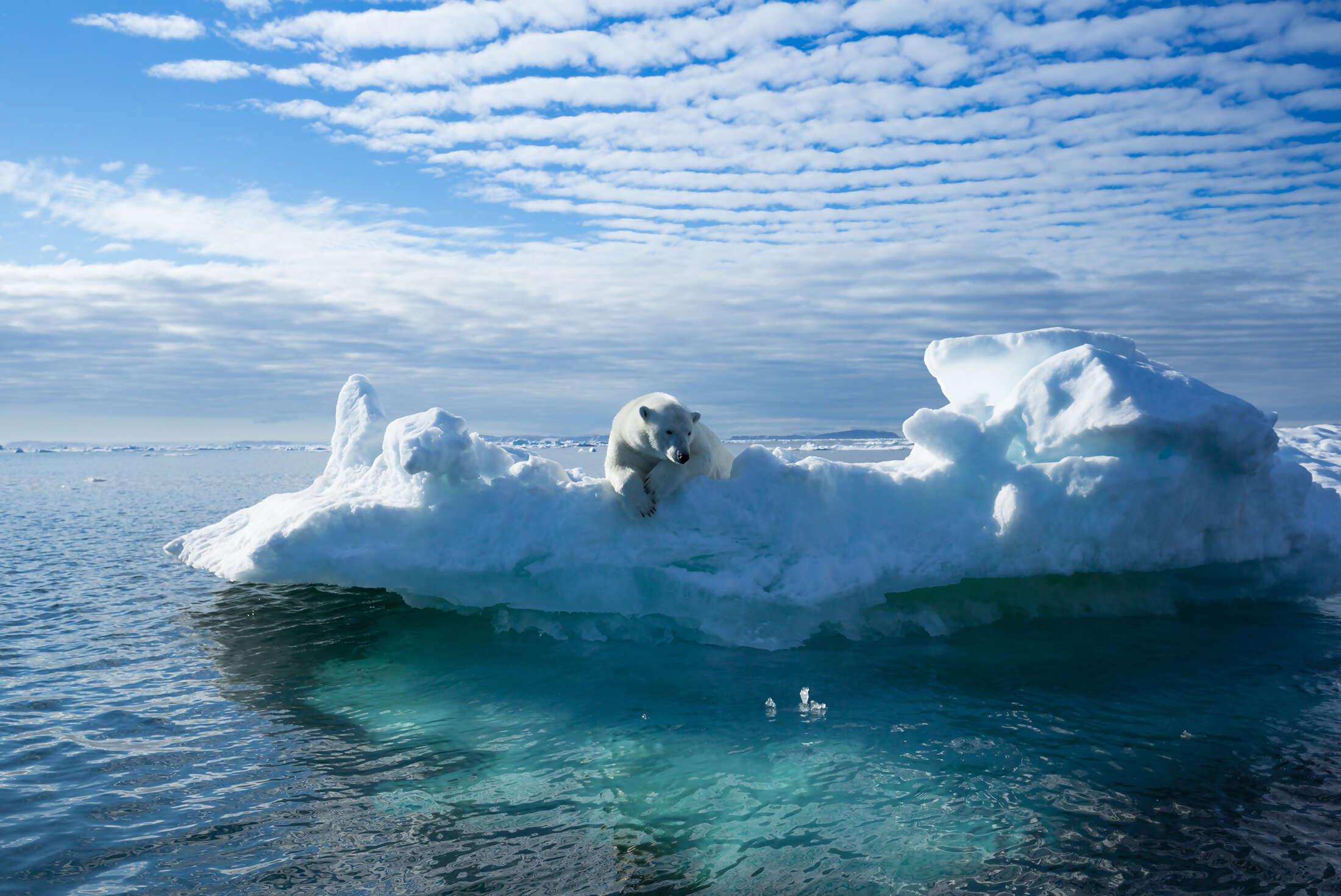 Spitsbergen Highlights