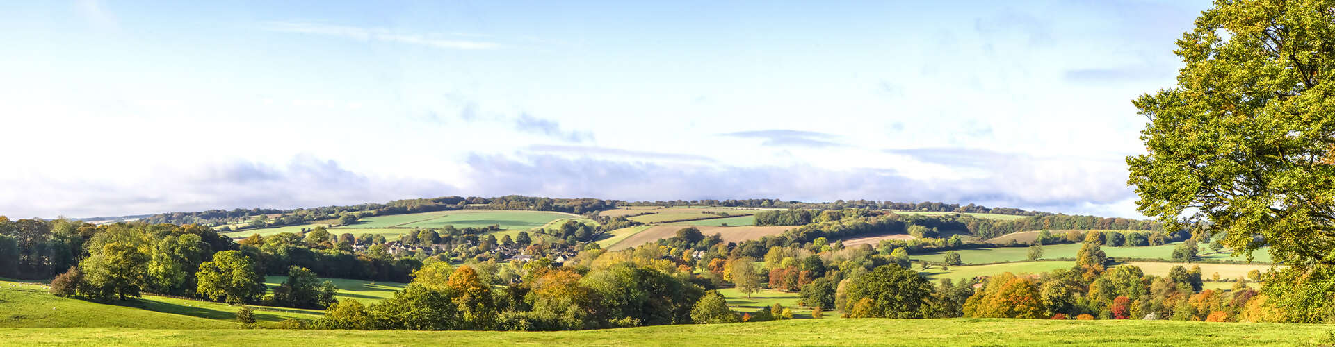 East Africa Gorilla & Safari Experience