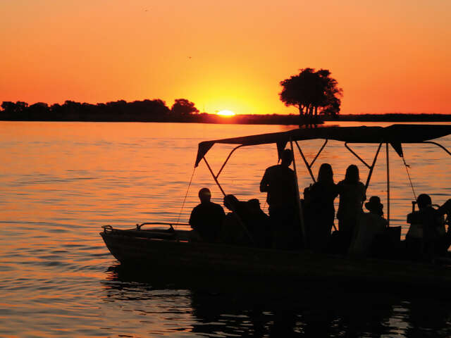Botswana Safari