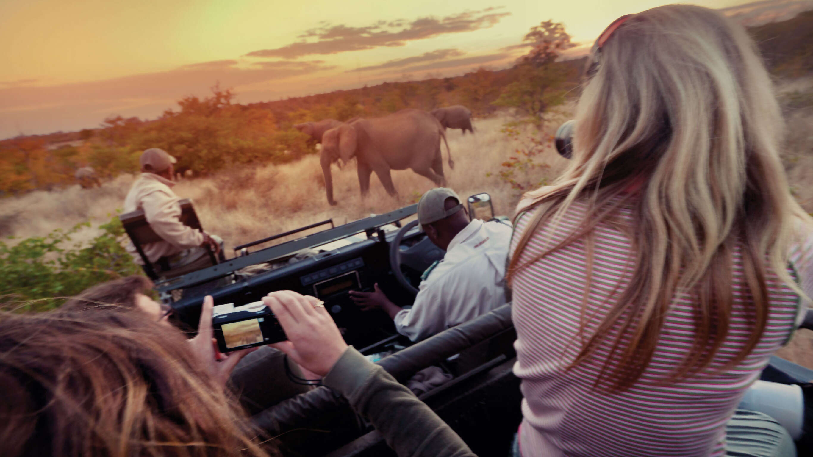 Amboseli Safari Experience