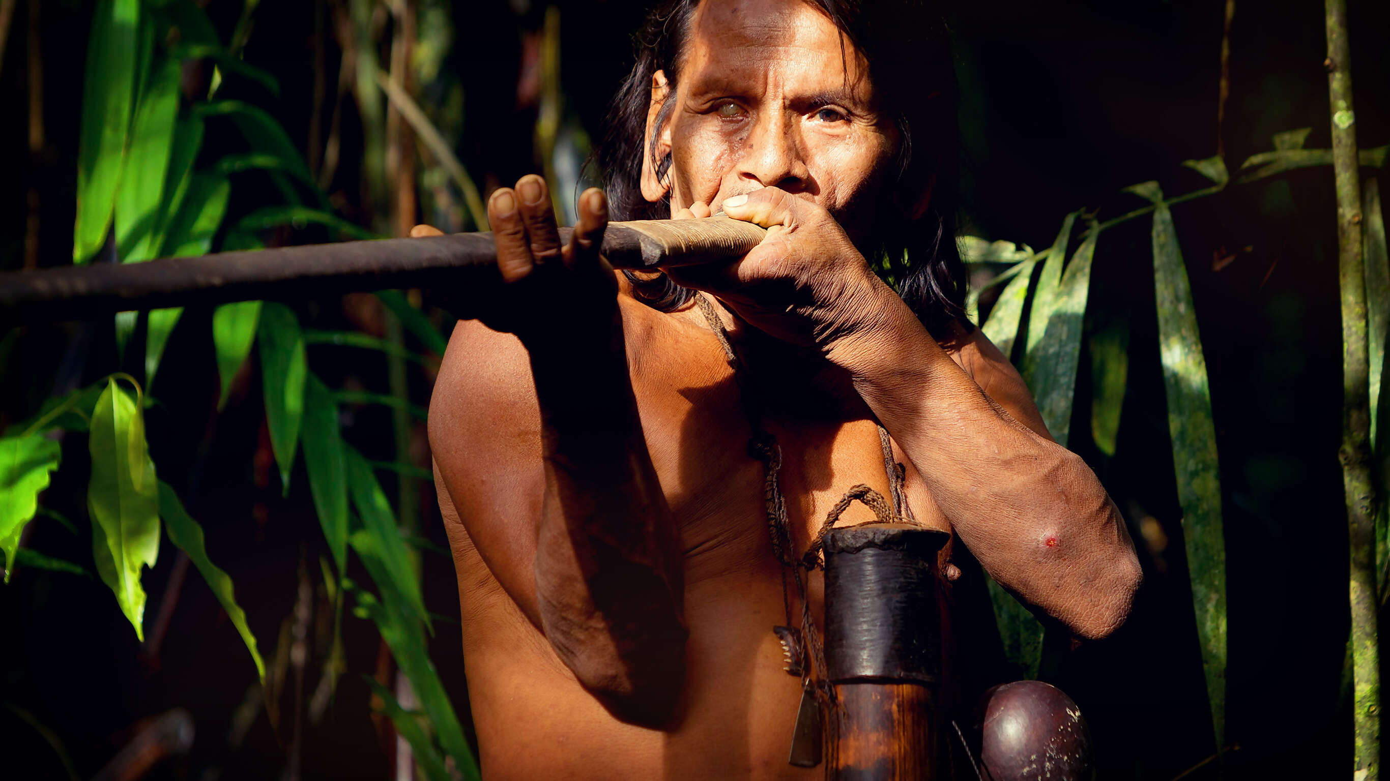 Ecuador Amazon, Hot Springs & Volcanoes
