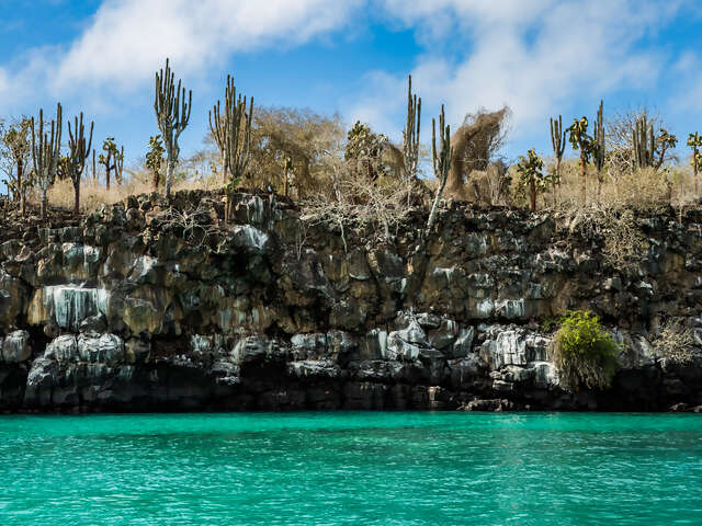 Galápagos — North & Central Islands aboard the Evolution