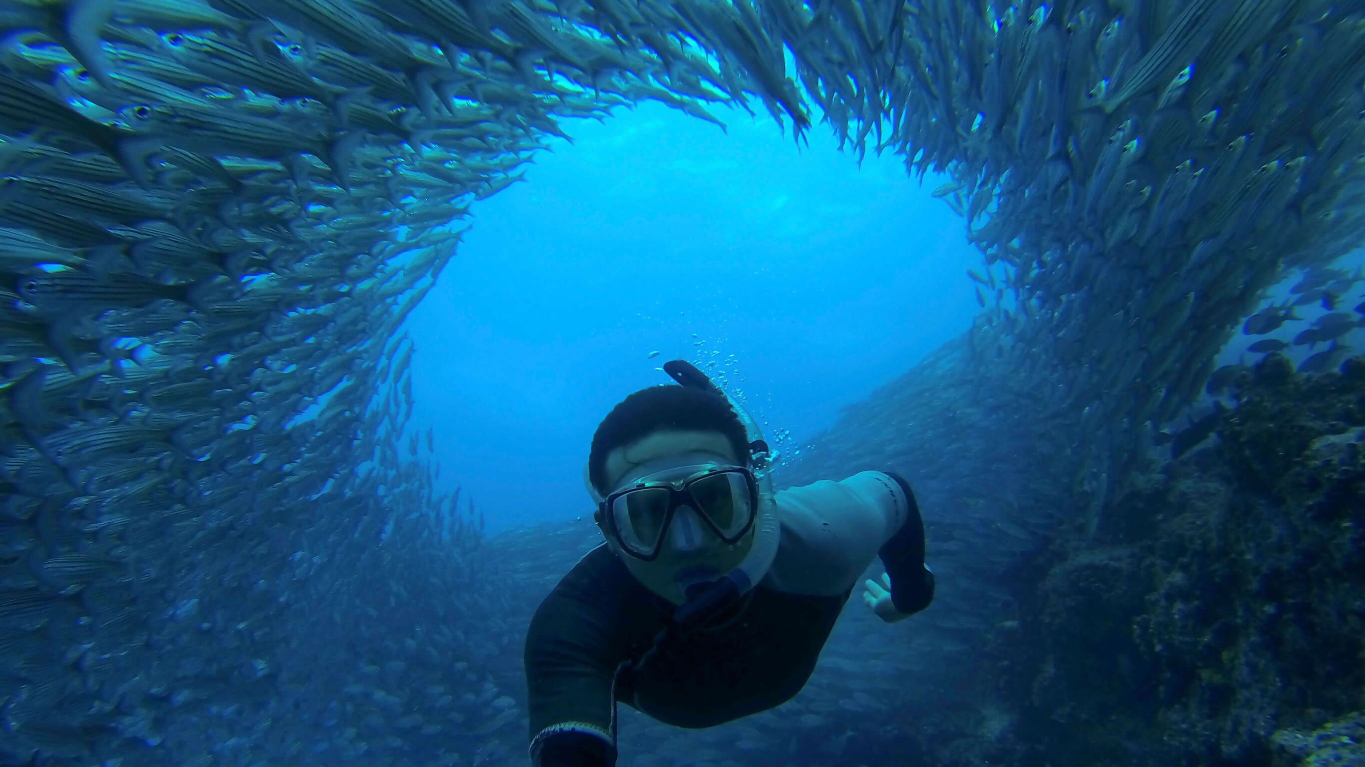 Galápagos – Central and East Islands aboard the Integrity