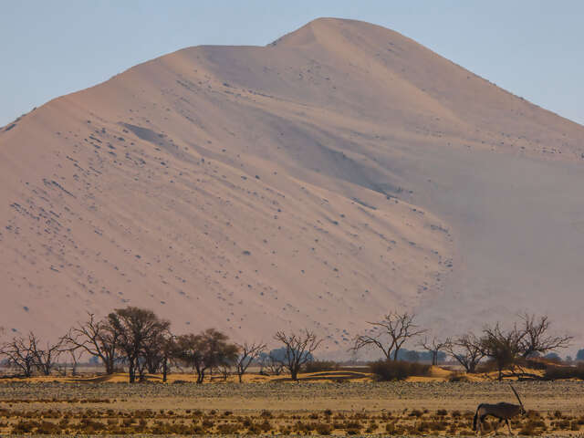 Cape Town, Kruger & Namibia Upgraded