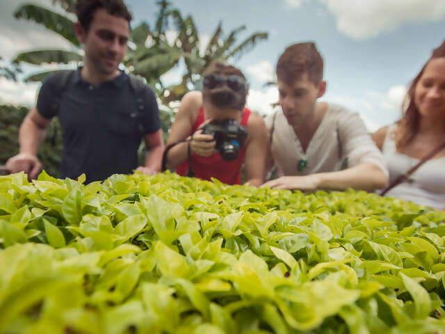 Colombia Express