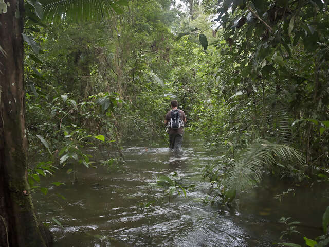 Inland & Amazon