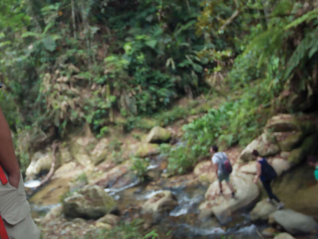 Colombia Journey