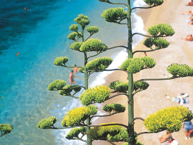 The Dalmatian Coast: Croatia, Corfu & Medieval Cities