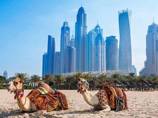 Al Habtoor Grand Resort, Autograph Collection