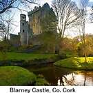 2015BlarneyCastle.jpg