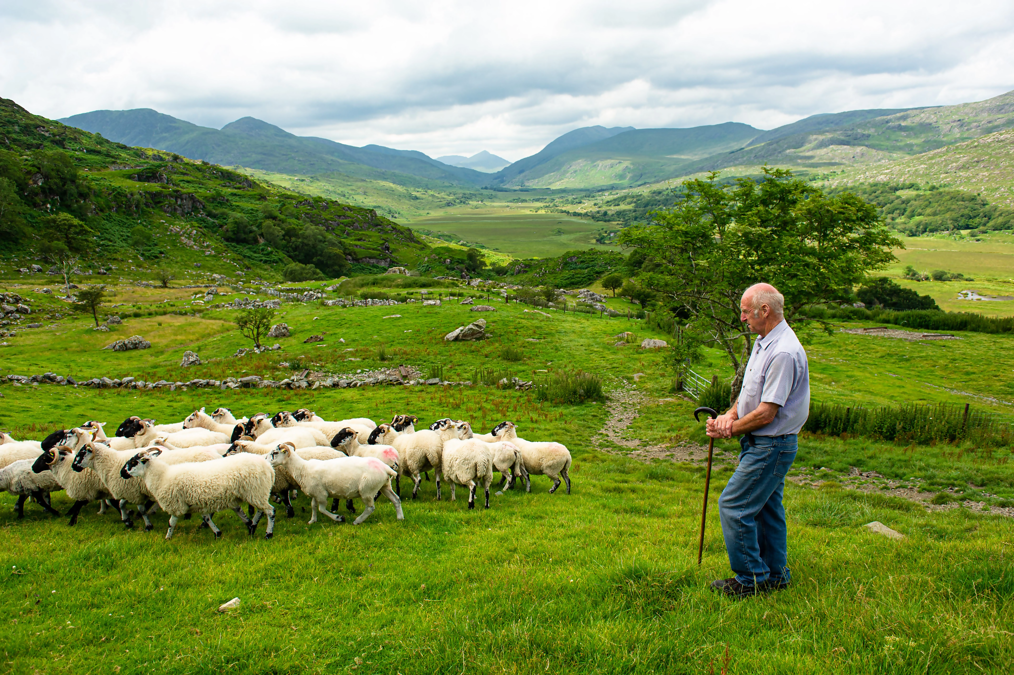 2026 Best of Ireland South (Tour A) - 8 Days/7 Nights