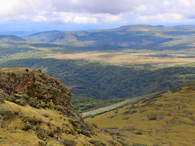 The Plains of Africa Kenya Wildlife Safari