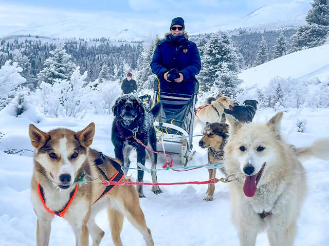 Aurora Adventure Winter in the Canadian Rockies & the Yukon