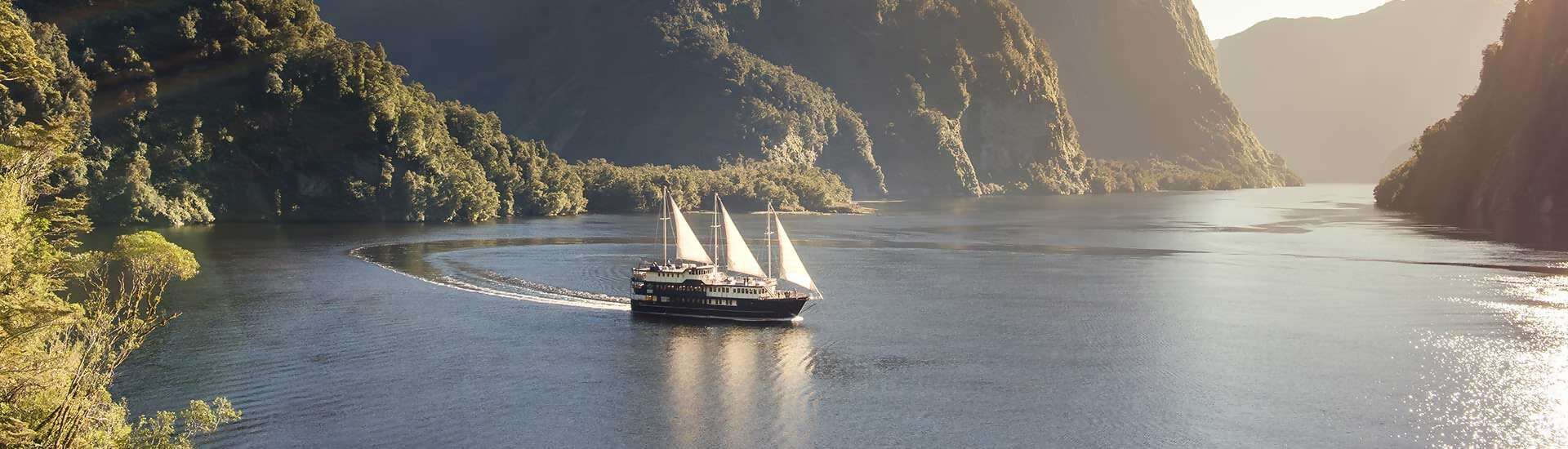 Find Your 100% in New Zealand