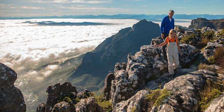 South Africa: Kruger Wildlife Tracking & Vineyards