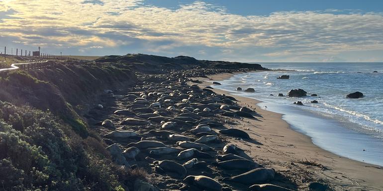 California Dreaming: Yosemite, Death Valley & Coastal Camping