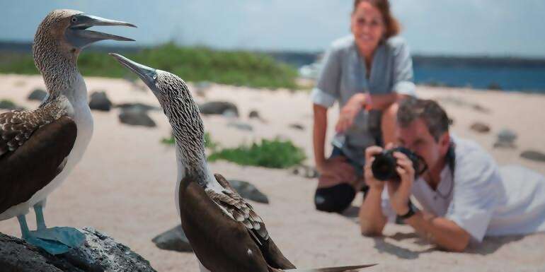 The Galápagos: Wildlife of Santa Cruz & Isabela Islands