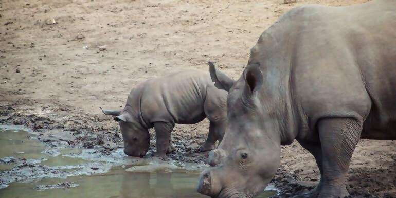 Southern Africa Overland Safari & Participation Camping