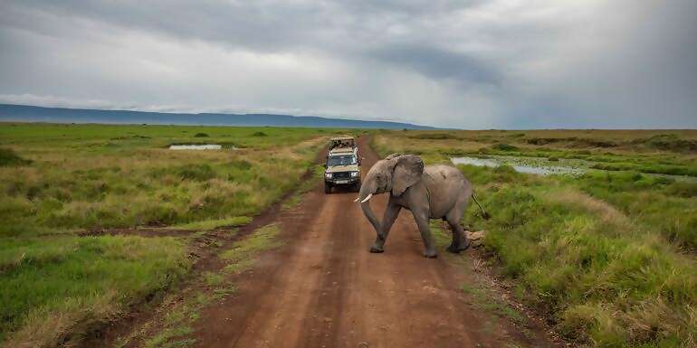 Kenya to Zimbabwe Overland Safari & Participation Camping