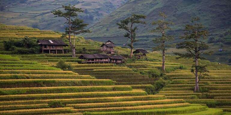 Classic Vietnam: Sapa to Ho Chi Minh
