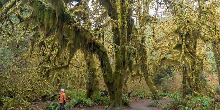 Discover the Pacific Northwest