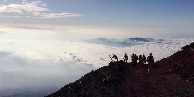 Absolute Active Japan