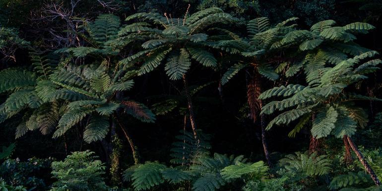 Active Japan: Hokkaido Highlights & Okinawa Island Hopping