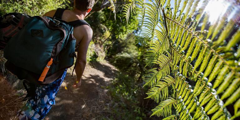 Australia And New Zealand: Bushwalks & Beaches