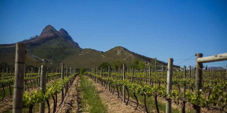 Ultimate South Africa