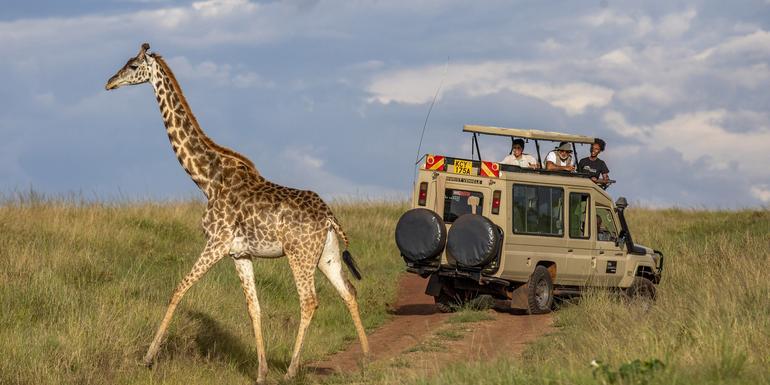 Kenya: Masai Mara, Tsavo & Coastal Wonders