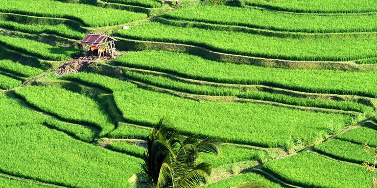 Indonesia: Bali Adventure