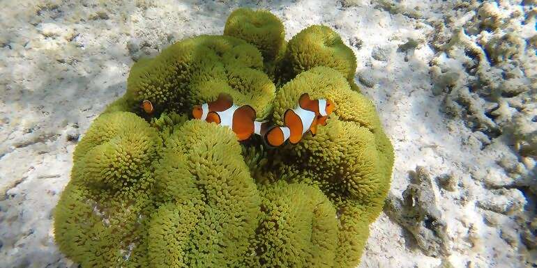 Classic Bali & Komodo Island