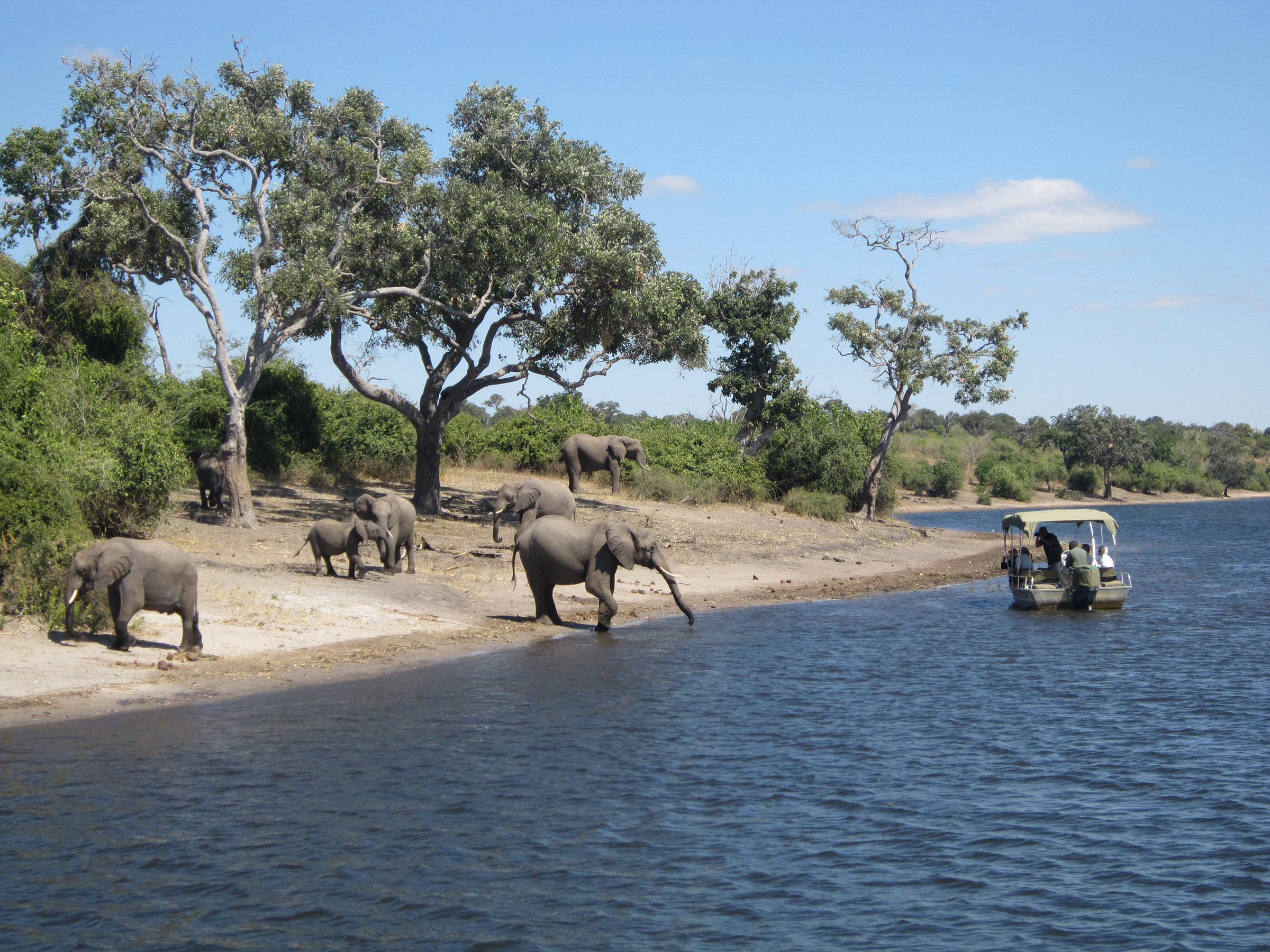 Exploring South Africa, Victoria Falls, and Botswana