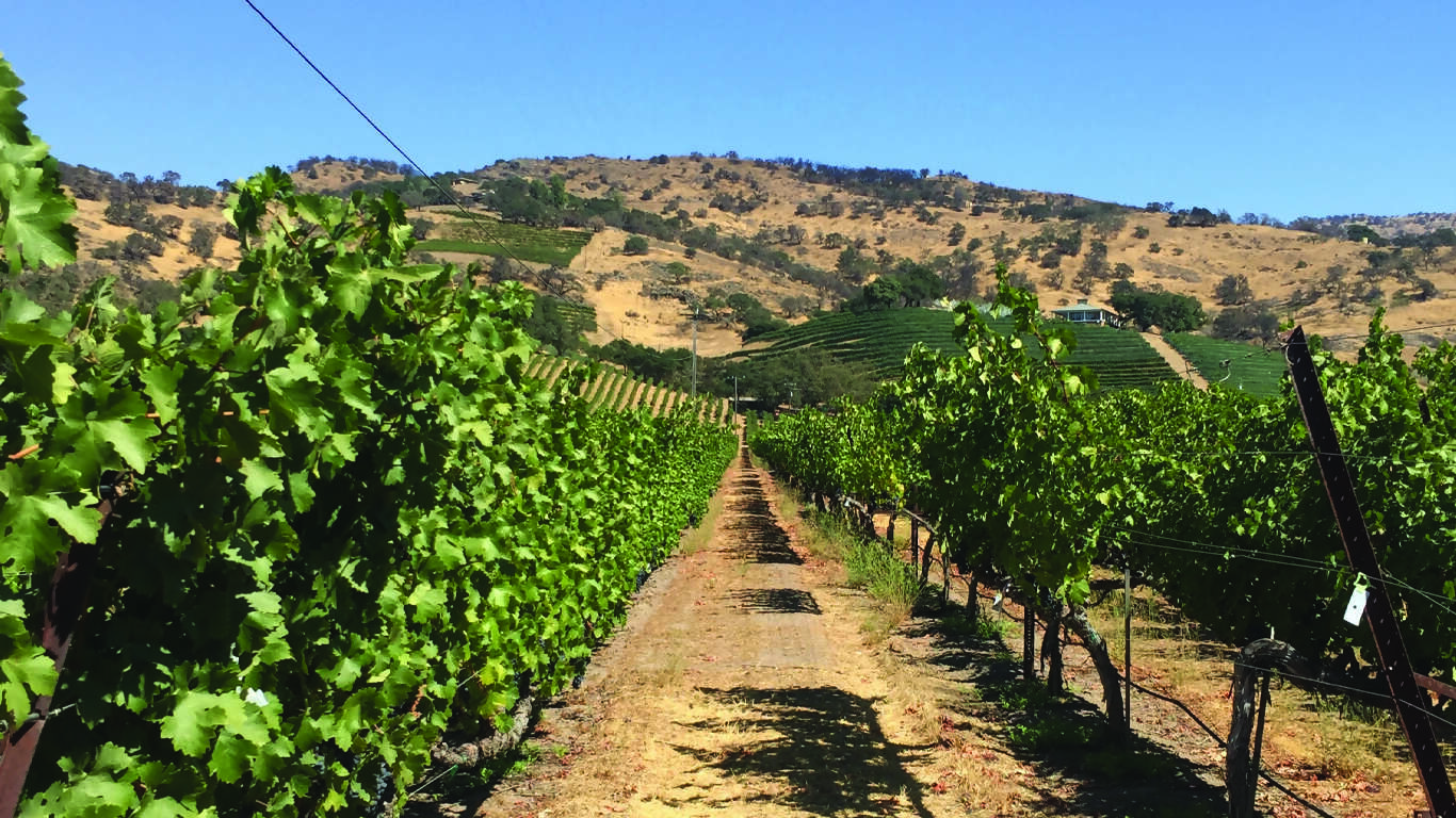 California Dreamin': Monterey, Yosemite & Napa